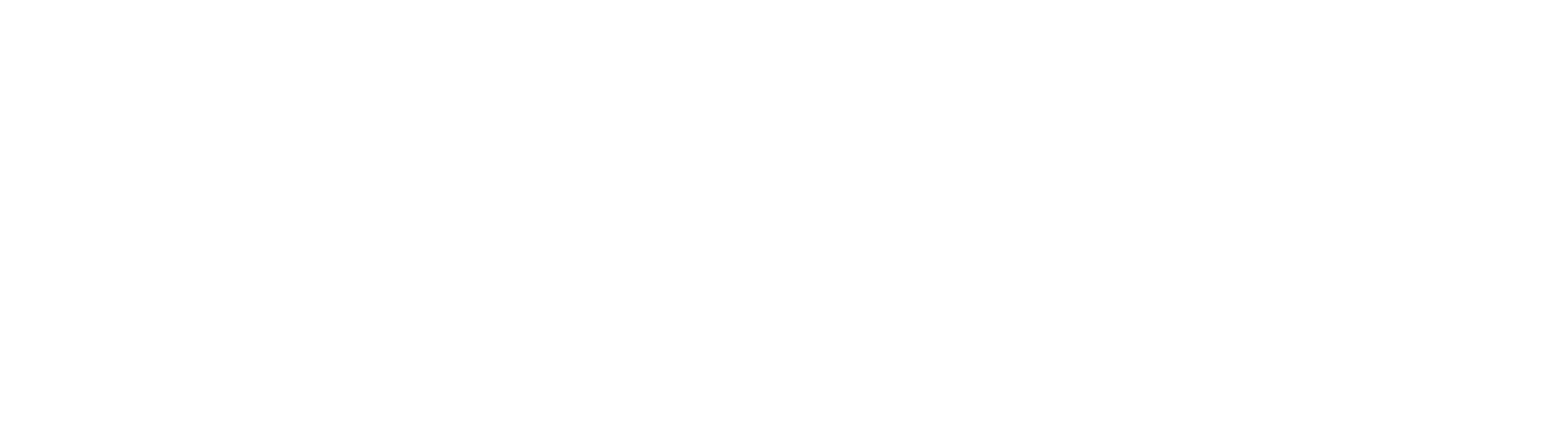 rbi-logo-int-st-mono-neg-rgb.png